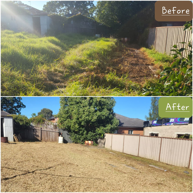 Freshly mowed and edged lawn completed by Brother's Lawn Solutions